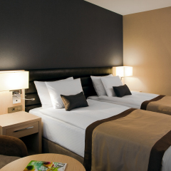 Гостиница Park Inn by Radisson Izmailovo Moscow 4* Стандартный номер с различными типами кроватей фото 9