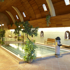 Naturmed Hotel Carbona бассейн фото 2