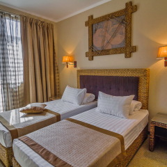 Гостиница La Terrassa 3* Стандартный номер с разными типами кроватей фото 6