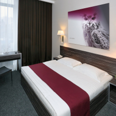 Отель City Sova 4* Стандартный номер