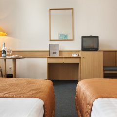 City Hotel Matyas удобства в номере