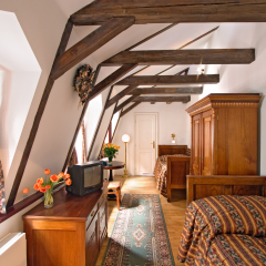 Hotel Waldstein 4* Номер Делюкс с различными типами кроватей фото 10