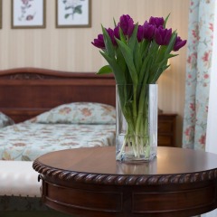 Dolphin Resort Hotel & Conference 3* Стандартный номер с разными типами кроватей фото 6