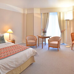 Гостиница Holiday Inn Moscow Seligerskaya 4* Стандартный номер с двуспальной кроватью