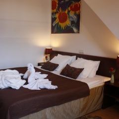 A1 hotel комната для гостей