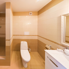 Гостиница Carat 4* Полулюкс с разными типами кроватей фото 3
