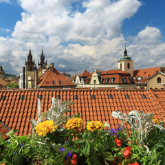Grand Hotel Bohemia 5* Номер Делюкс с разными типами кроватей фото 7