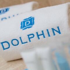 Dolphin Resort Hotel & Conference 3* Стандартный номер с разными типами кроватей фото 10