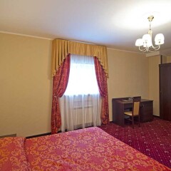 Гостиница Эрмитаж 4* Стандартный номер с разными типами кроватей фото 3