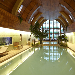 Naturmed Hotel Carbona бассейн фото 3
