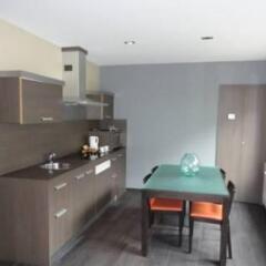 Wellness Apart Hotel Brussels Belgium Zenhotels