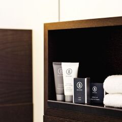 Movenpick Hotel Amsterdam City Centre 4* Стандартный номер фото 3