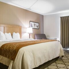 Отель Comfort Inn Brossard 2* Номер Делюкс с различными типами кроватей