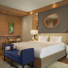 Regnum Carya Golf & Spa Resort 5* Номер Комфорт с различными типами кроватей