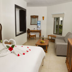Отель Sandos Caracol Select Club - только для взрослых, все включено 4* Стандартный номер
