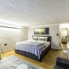 Отель APT - Stone Lodge Salzburg Улучшенные апартаменты