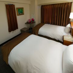 Tokyo Plaza Hotel 3* Стандартный номер с 2 отдельными кроватями фото 2