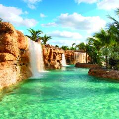 Отель The Cove at Atlantis, Autograph Collection водопад у бассейна фото 2