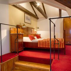 Hotel Waldstein 4* Стандартный номер с различными типами кроватей фото 19