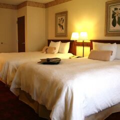Отель Hampton Inn Gateway Arch Downtown 3* Стандартный номер с различными типами кроватей фото 4