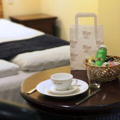 Hotel Tiffany 3* Стандартный номер с различными типами кроватей фото 3