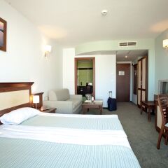 Lion Hotel 4* Стандартный номер с разными типами кроватей