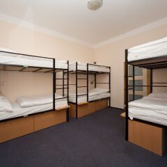 Hostel Mango Стандартный номер с различными типами кроватей