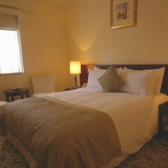 Asset Hotel Shanghai 3* Номер Бизнес с различными типами кроватей