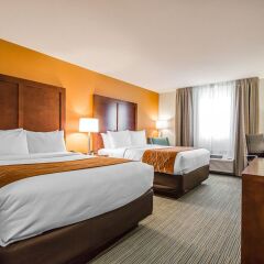 Отель Comfort Inn 2* Стандартный номер с 2 отдельными кроватями