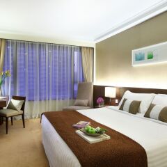 City Garden Hotel 4* Номер Делюкс с различными типами кроватей