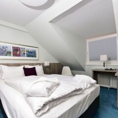 Frühlings-Hotel 3* Номер Делюкс с различными типами кроватей