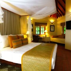 Отель Cinnamon Wild Yala 4* Стандартный номер с различными типами кроватей