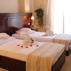 Royal Classic Hotel 3* Стандартный номер с 2 отдельными кроватями