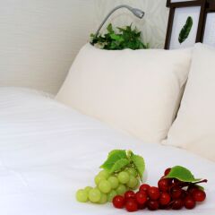Smart Hotel Hakata 4 3* Стандартный номер