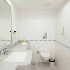 Отель Holiday Inn Istanbul City ванная