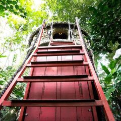 Отель Dao Anh Khanh Treehouse 3* Стандартный номер