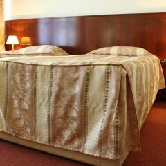 Hotel Holiday Zagreb 3* Стандартный номер с разными типами кроватей