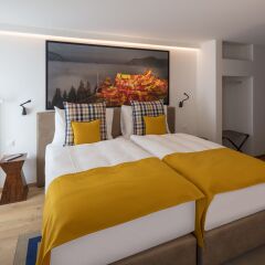 Leoneck Swiss Hotel 3* Номер Комфорт с различными типами кроватей