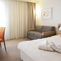 Novotel Paris Est Hotel 4* Стандартный семейный номер с двуспальной кроватью