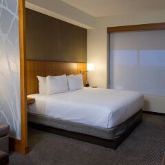 Отель Hyatt Place Detroit/Novi 3* Стандартный номер с различными типами кроватей