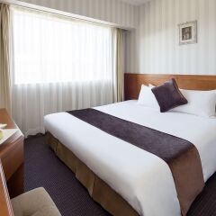Hotel Francs 3* Номер Комфорт с различными типами кроватей
