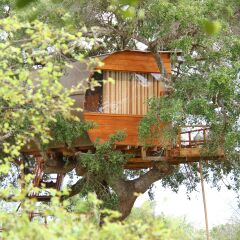 Отель Leopard Nest Luxury Campsite Коттедж Делюкс с различными типами кроватей