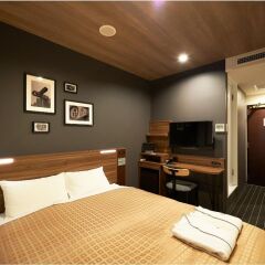 Отель Sotetsu Fresa Inn Nihombashi-Kayabacho 3* Номер Комфорт с различными типами кроватей