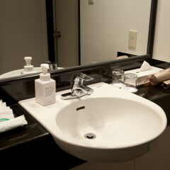 Toyama Excel Hotel Tokyu 3* Улучшенный номер фото 19