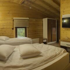 Ayder Simsir Butik Hotel Стандартный номер с различными типами кроватей