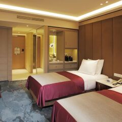 Tangla Hotel Brussels 5* Стандартный номер с разными типами кроватей