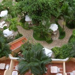 Отель Pacific Club Resort двор фото 2