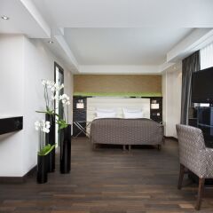Hotel Palace Berlin 5* Стандартный номер двуспальная кровать