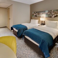 Отель Holiday Inn Dusseldorf City Toulouser Allee 4* Стандартный номер с 2 отдельными кроватями