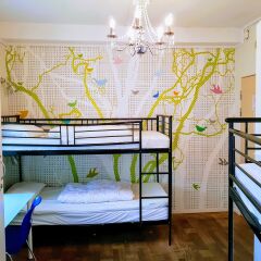 Отель Marken Guesthouse Кровать в мужском общем номере